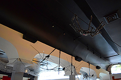 WATERCRESS HALLOWEEN